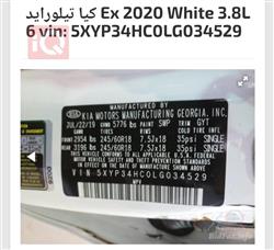 كيا تيلوريد